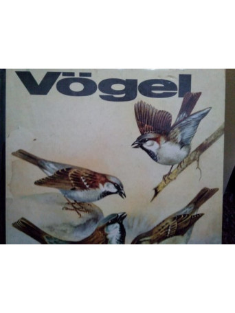 Vogel