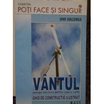 Vantul energie electrica pentru casa si curte