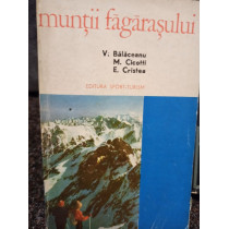 Muntii Fagarasului