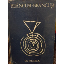 Brancusi, vol. 1