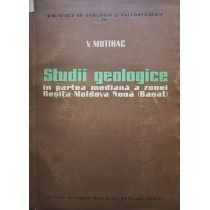 Studii geologice in partea mediana a zonei Resita - Moldova Noua (Banat)