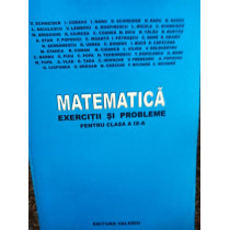 Matematica. Exercitii si probleme pentru clasa a IXa