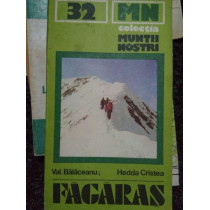 Muntii Fagaras