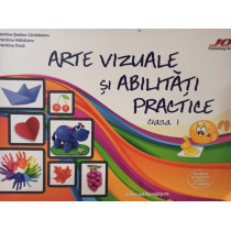 Arte vizuale si abilitati practice clasa I