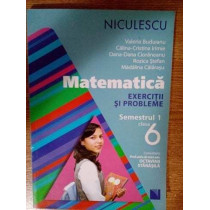 Matematica exercitii si probleme clasa a VIa, semestrul I