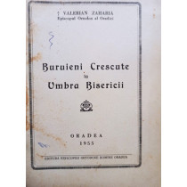 Buruieni crescute la umbra Bisericii