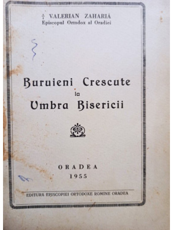 Buruieni crescute la umbra Bisericii