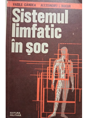 Sistemul limfatic in soc