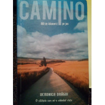 Camino. O calatorie care mia schimbat viata