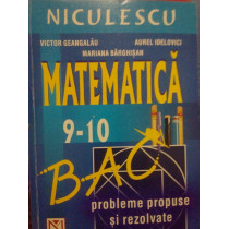 Matematica. Probleme propuse si rezolvate pentru clasele IXX