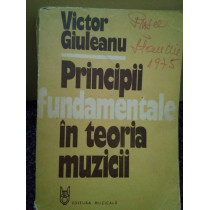 Principii fundamentale in teoria muzicii