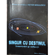 Singur cu destinul