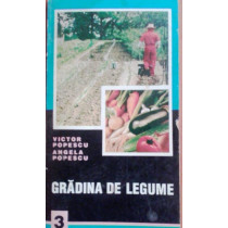 Gradina de legume