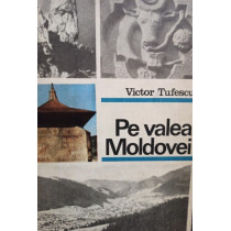 Pe Valea Moldovei