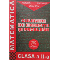 Matematica - Culegere de exercitii si probleme clasa a IIa