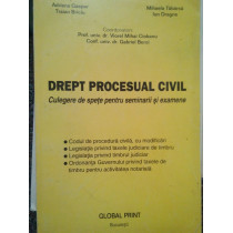 Drept procesual civil