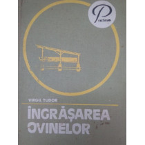 Ingrasarea ovinelor