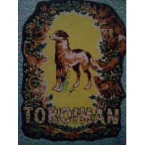 Toroiman