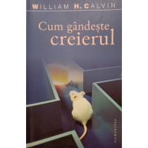 Cum gandeste creierul