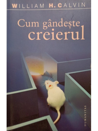 Cum gandeste creierul