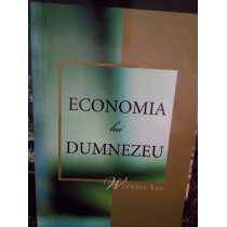 Economia lui Dumnezeu