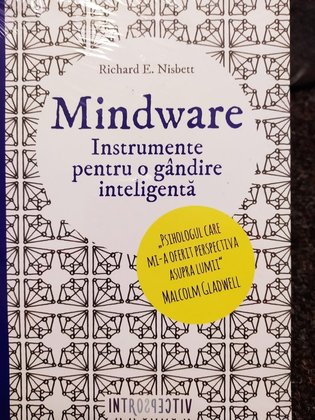 Mindware. Instrumente pentru o gandire inteligenta