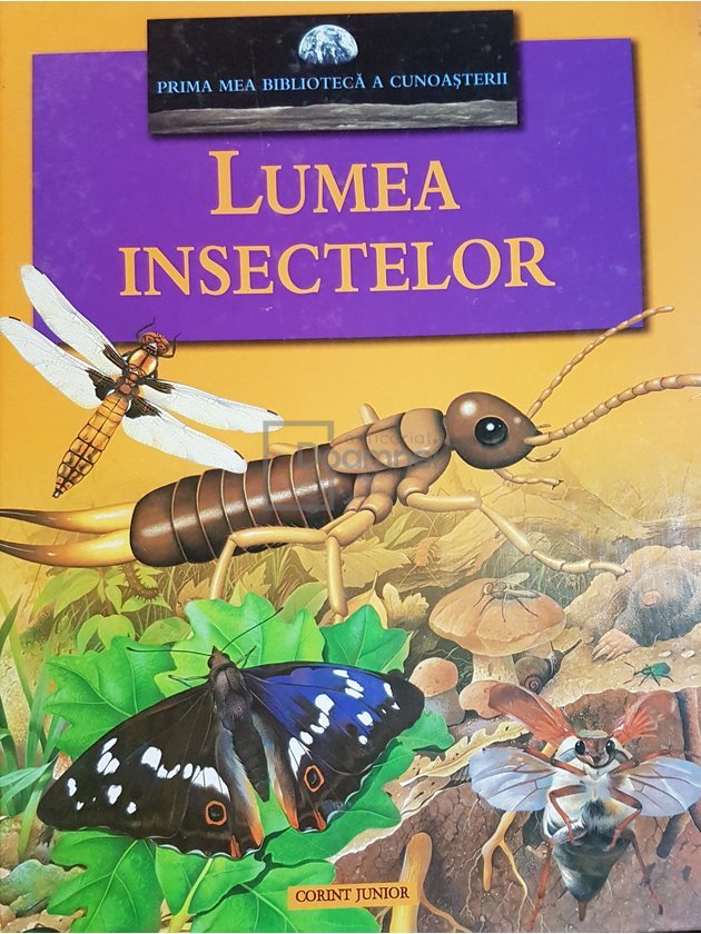 Lumea insectelor