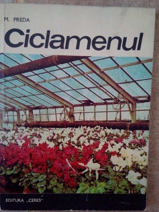 Ciclamenul