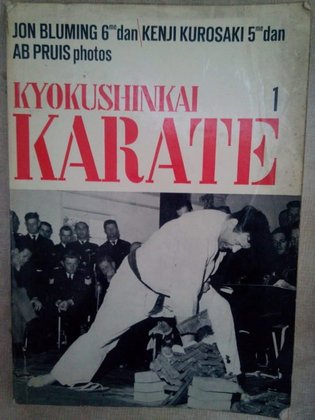 Kyokushinkai karate 1
