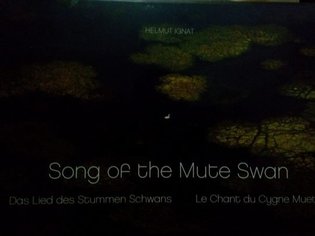 Song of the Mute Swan