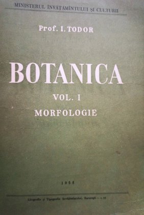 Morfologie, vol. 1