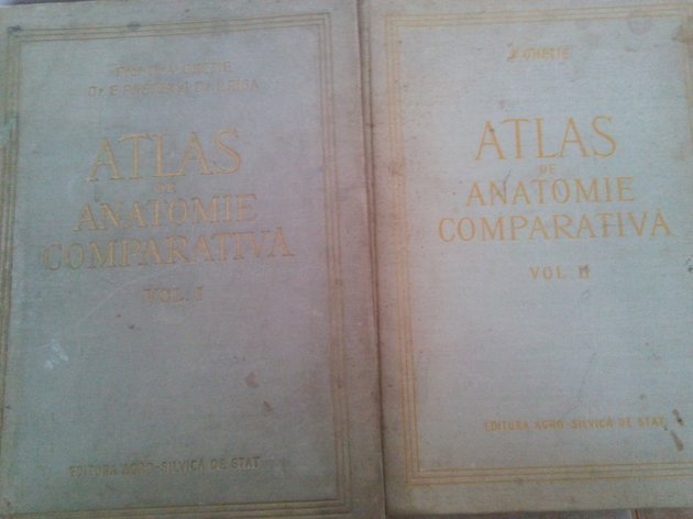 Atlas de anatomie comparativa, 2 volume