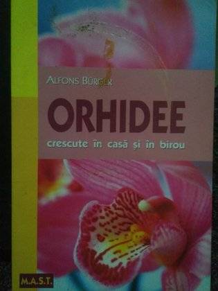 Orhidee crescute in casa si in birou