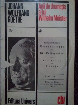 Anii de drumetie ai lui Wilhelm Meister