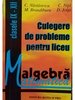 Algebra - Culegere de probleme pentru liceu