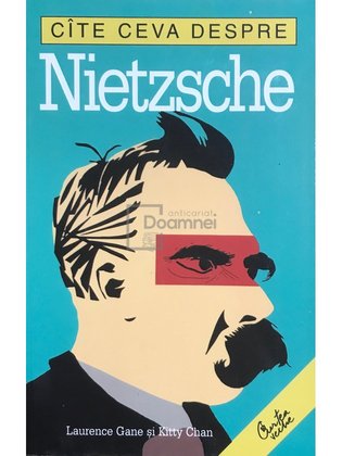 Câte ceva despre Nietzsche
