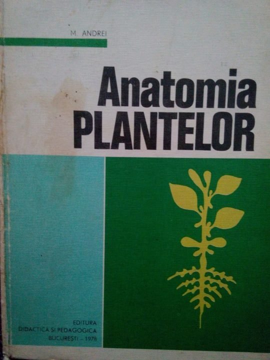 Anatomia plantelor
