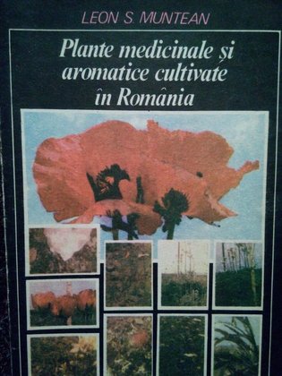 Plante medicinale si aromatice cultivate in Romania