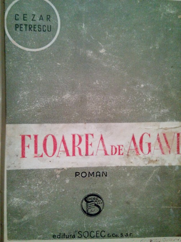 Floarea de Agave
