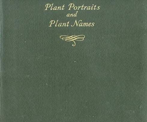PLANT PORTRAITS AND PLANT NAMES