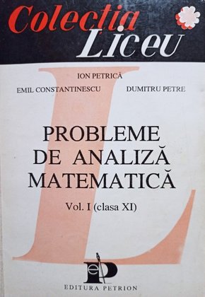 Probleme de analiza matematica, vol. I, clasa a XI-a