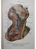 Atlas de anatomie umana, vol. 3 (Limba rusa)