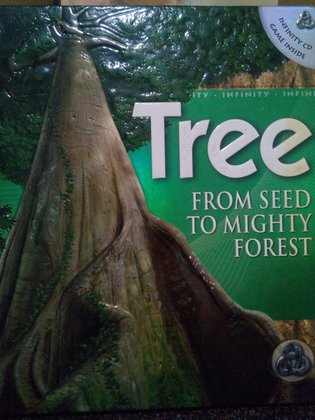 Tree from seed to mighty forest