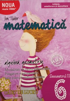 Matematica - Clasa a VI-a, semestrul II