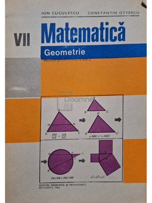 Matematica - Geometrie - Manual pentru clasa a VII-a