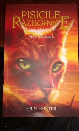 Pisicile razboinice - Noua profetie - Apus de soare