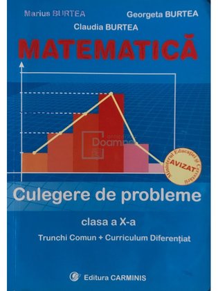 Matematică - Culegere de probleme clasa a X-a