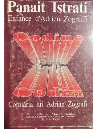 Codin - Copilăria lui Adrian Zografi
