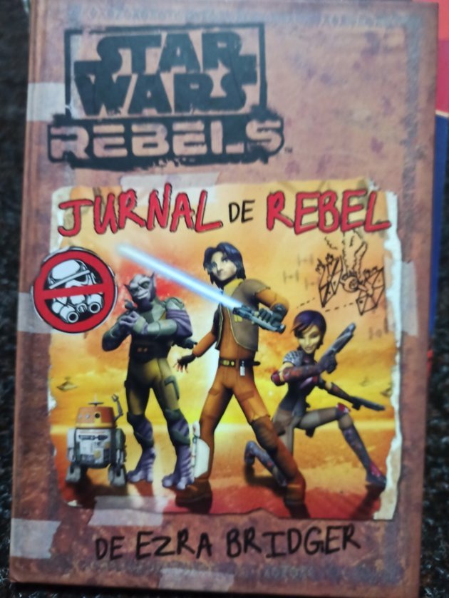 Jurnal de rebel