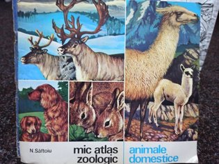 Mic atlas zoologic - Animale domestice